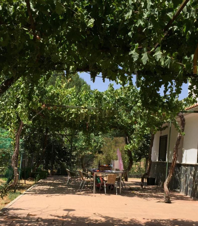 Casa De Ines Βίλα Αλάμα ντε Γρανάδα Εξωτερικό φωτογραφία